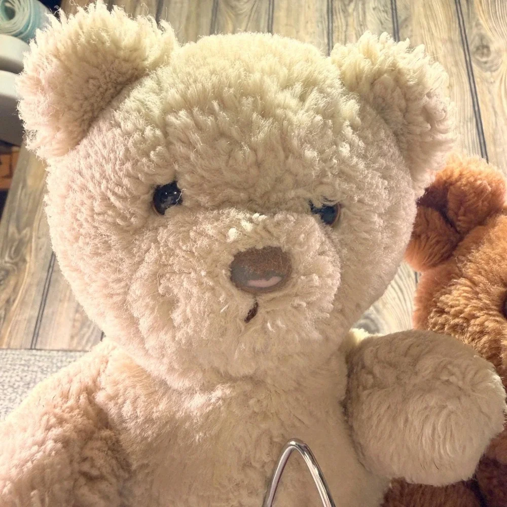 Vintage Dakin Teddy Bear 1984 Tan Plush Stuffed Animal Collectible 10 Inch